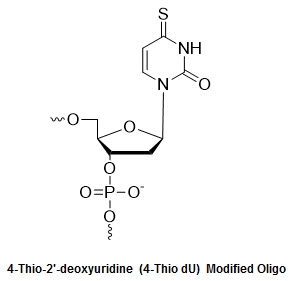 Bio-Synthesis Inc. Oligo Structure